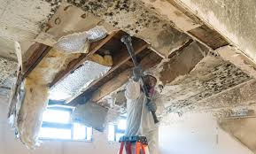 Best Water Damage & Mold Remediation  in Lyons, GA